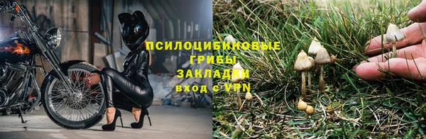 марки nbome Магадан