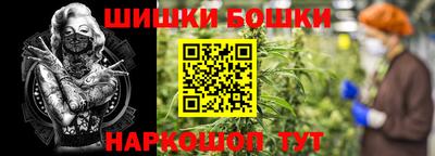 МДПВ Гусев