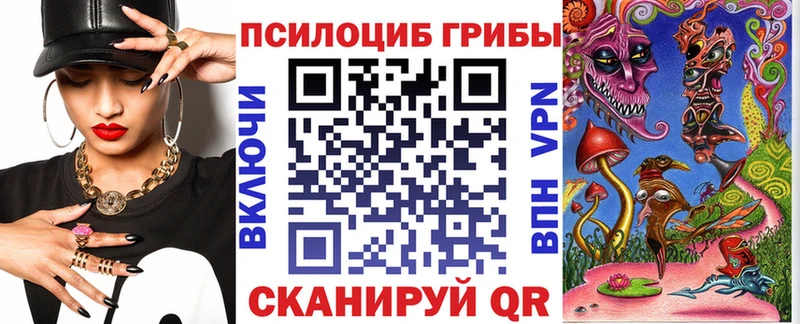 Псилоцибиновые грибы Psilocybe  Долгопрудный 