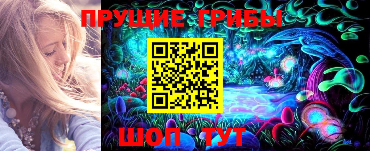 Галлюциногенные грибы Psilocybine cubensis Долгопрудный