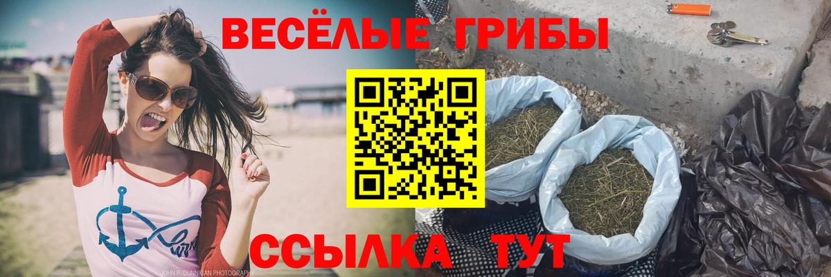 Псилоцибиновые грибы Magic Shrooms  Псилоцибиновые грибы ЛСД  Вход с VPN  магазин продажи наркотиков  Долгопрудный 